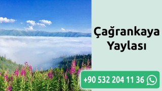 çağrankaya Yaylası